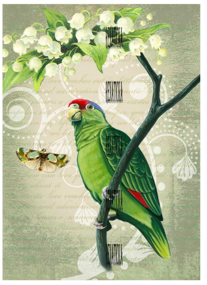 Nažehlovací obrázek A62e