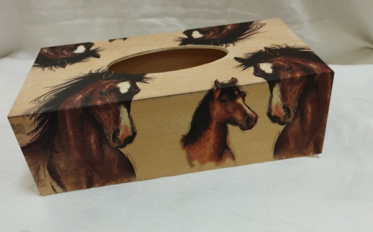 Krabice na kapesníky - Koně