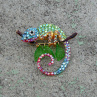 Brož - chameleon