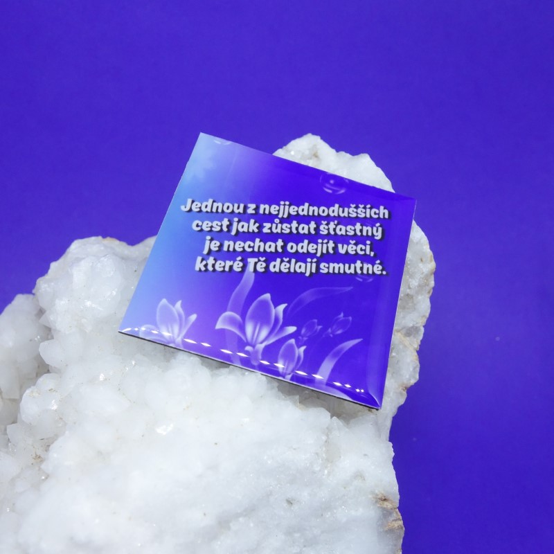 Magnetka s citátem č.28