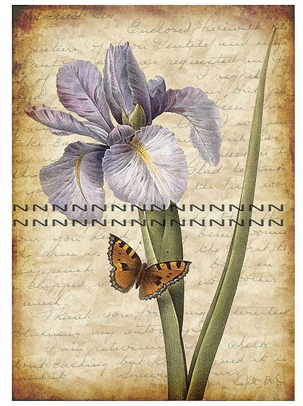 Nažehlovací obrázek A83g