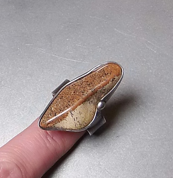 Přírodní jin jang