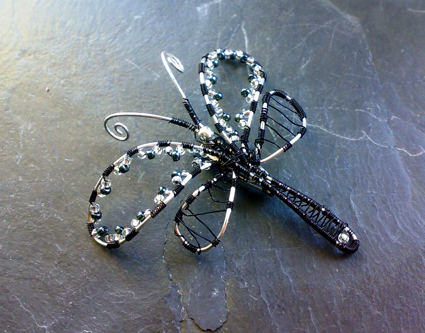 Černo - stříbrná vážka