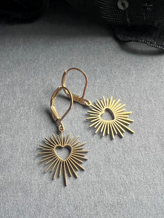 Srdíčkové náušnice - S.Steel