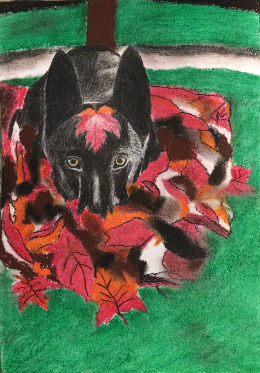 Schovávám se v listí