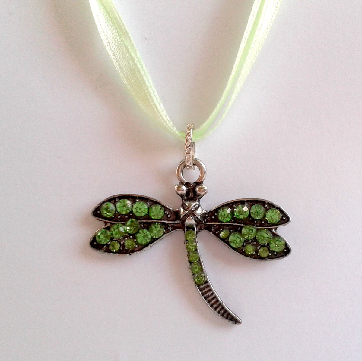 aiv0978	Vážka nad rybníkem