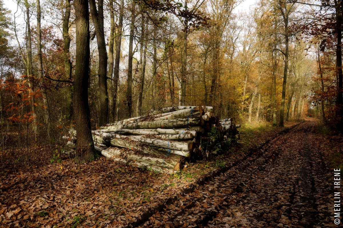 Podzimní romantika ...