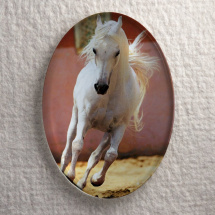 Kabošon 40 x 30 mm, koně - Bílí anděl