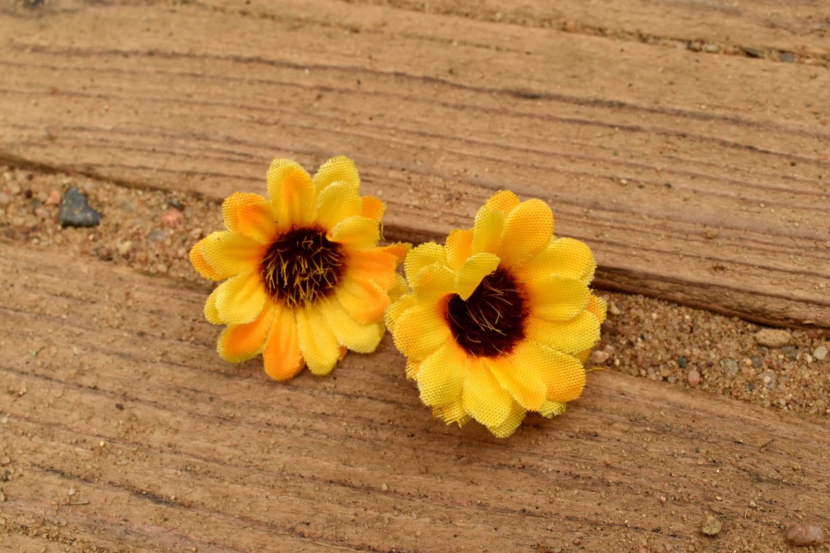 otáčej se za sluncem!