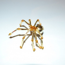 Pavouček zlatý 1