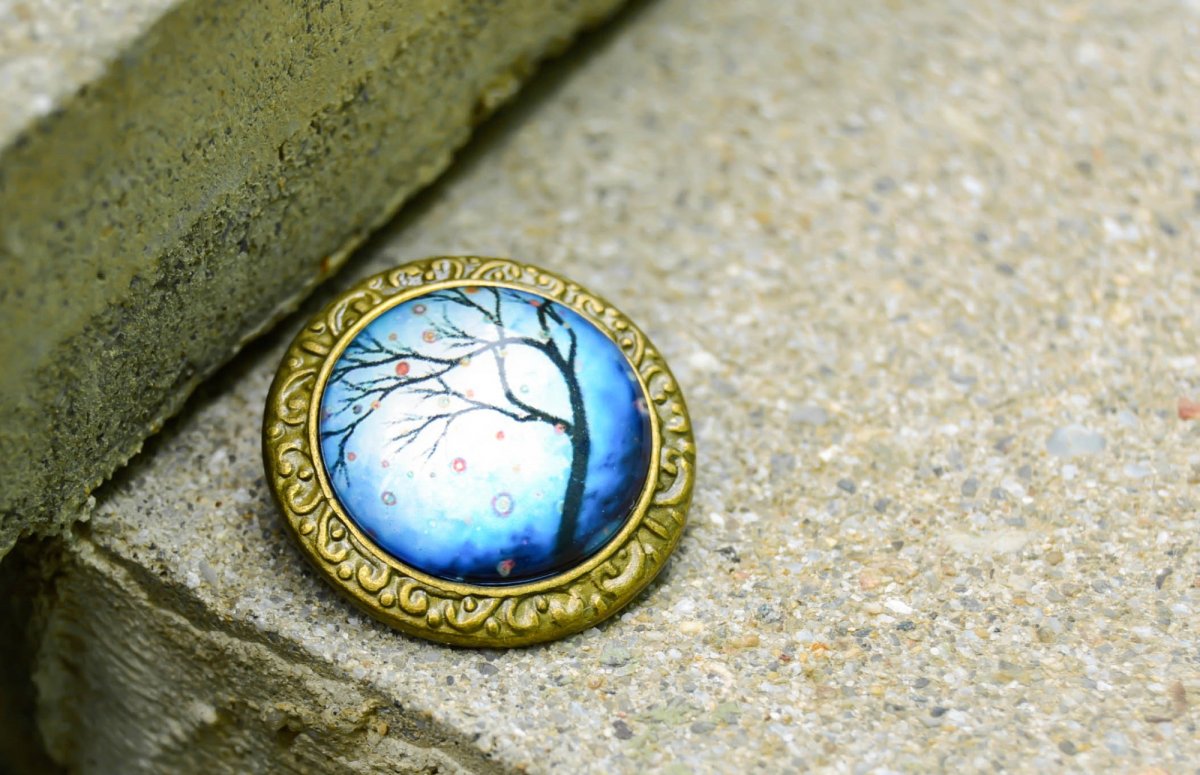 V noci v lese - brož