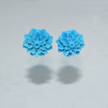 Pecky - modré chryzantémy
