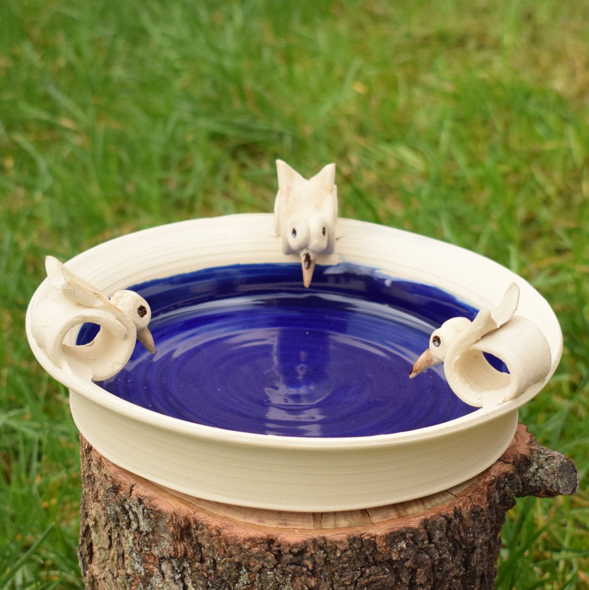 Pítko pro ptáčky s ptáčky