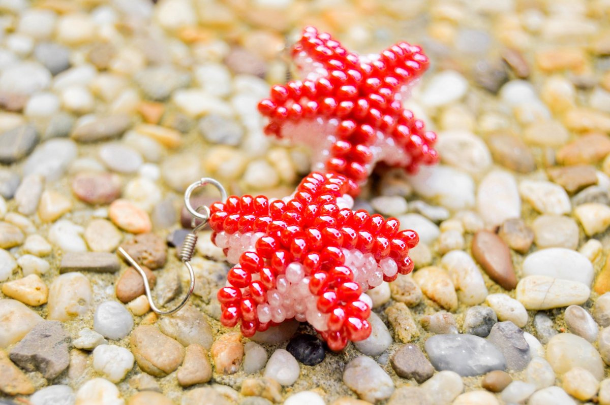 Červené mořské hvězdy