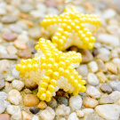 Žluté mořské hvězdice