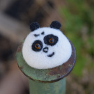 Panda hnědoočko