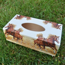 krabička na kapesníky koně