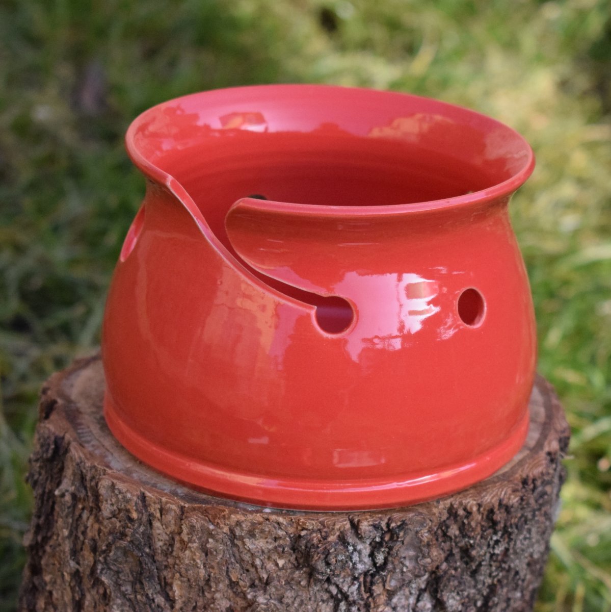 Červený klubíčkovník