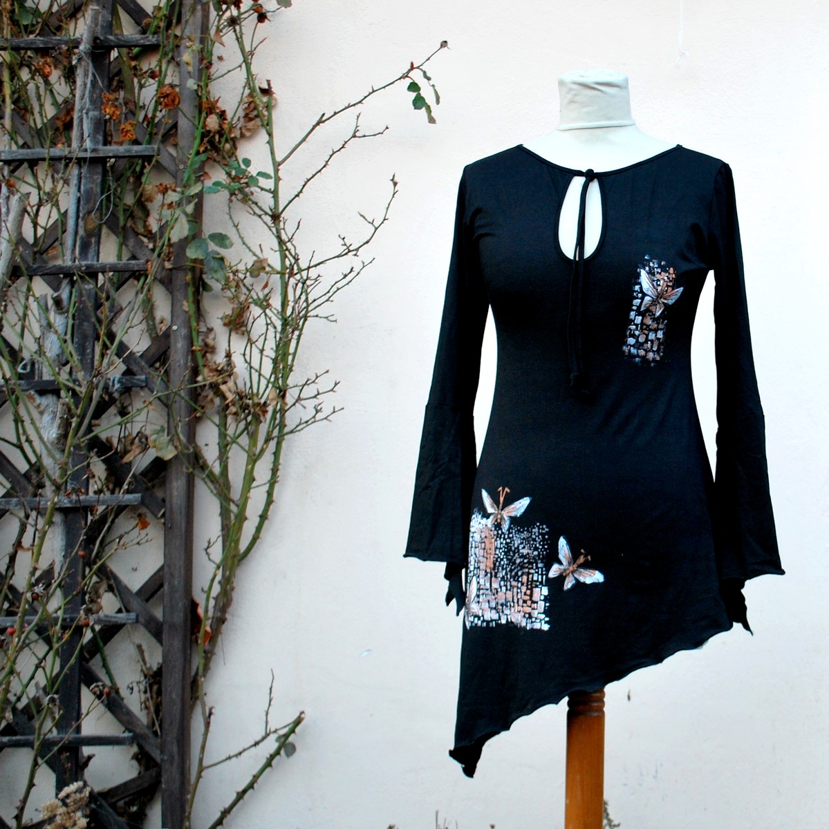 Asymetrická motýlí