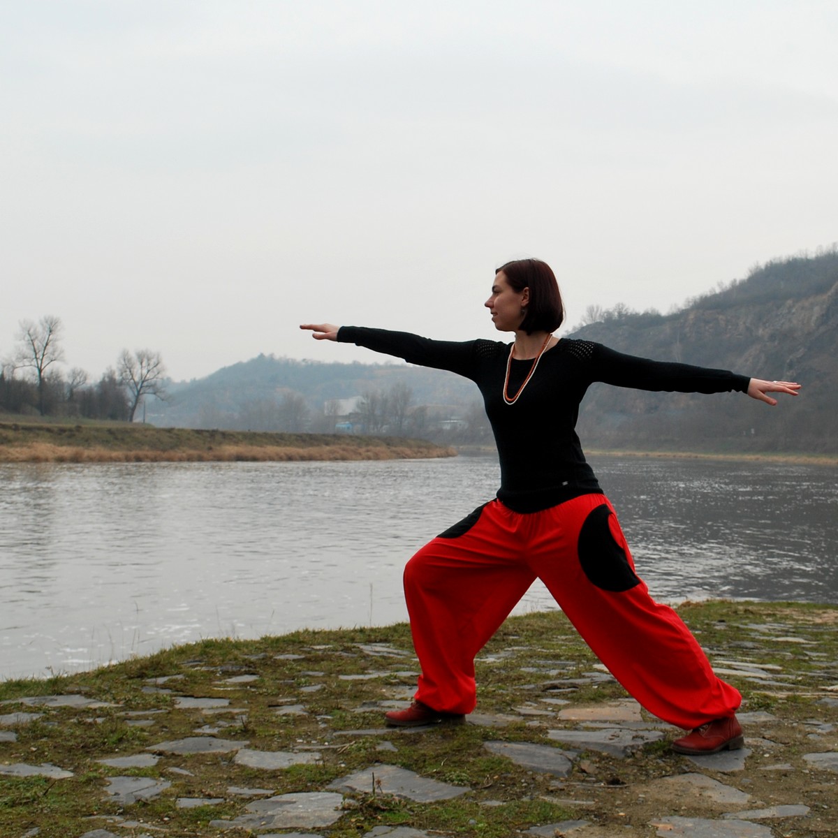 Vášnivý bojovník