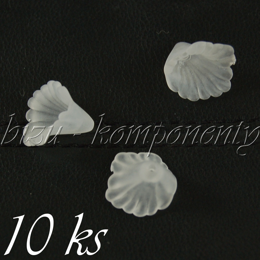 Bílá kala (01 0424)