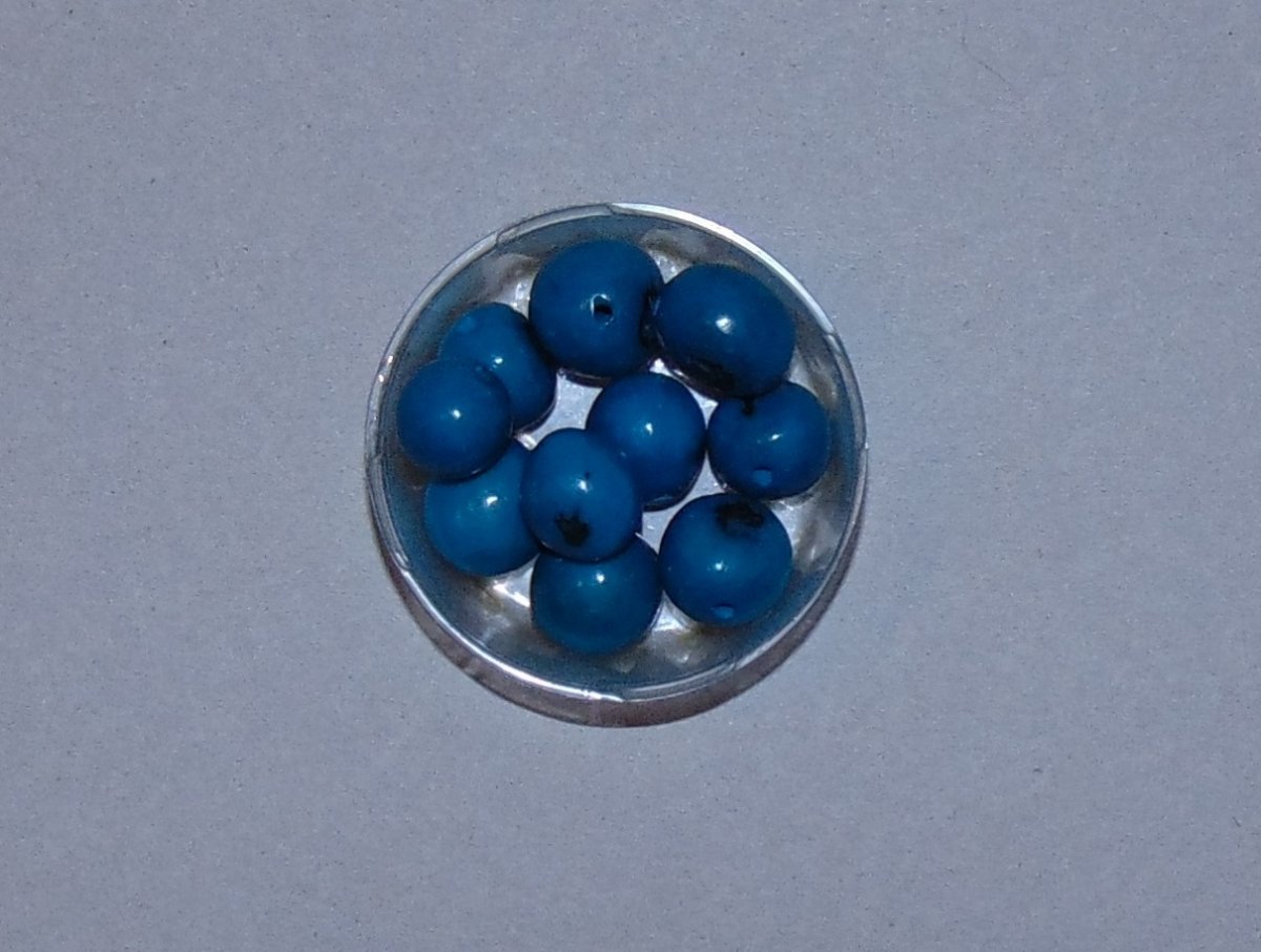 Semínka bombona tyrkysová 2ks