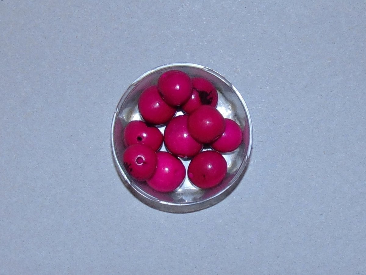 Semínka bombona purpurová 2ks