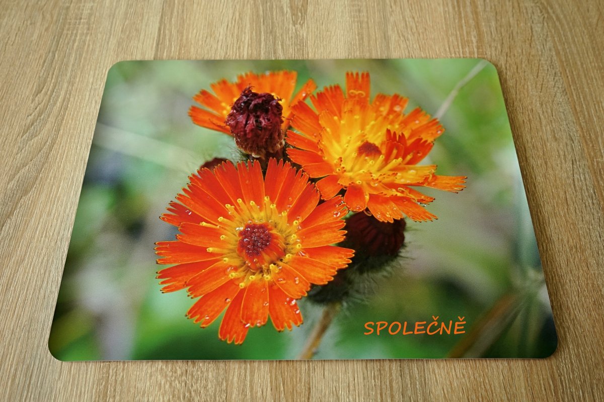 Autorské Foto Prostírání - TEXTujte