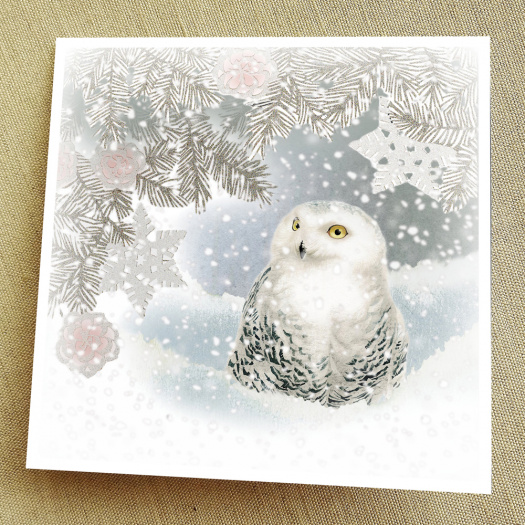 Přání - SNĚŽNÁ KRÁLOVNA