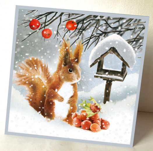 Přání - OŘÍŠKY PRO VEVERKU