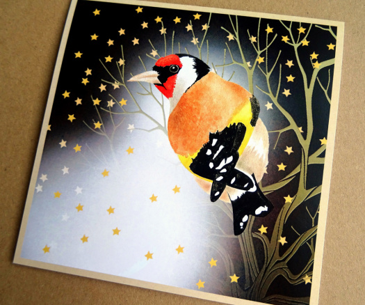 Přání - VÁNOČNÍ STEHLÍK