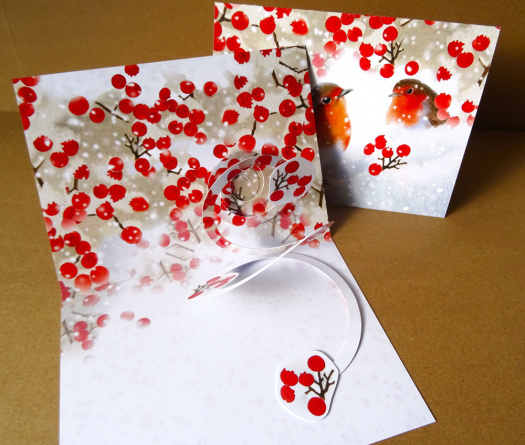 Přání - SKRÝŠ POD KEŘEM 3D