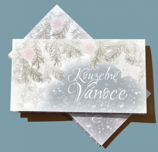Darovací obálka - ZASNĚŽENÁ