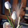 magnolie s tulipány v misce ..