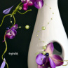 orchidejka..