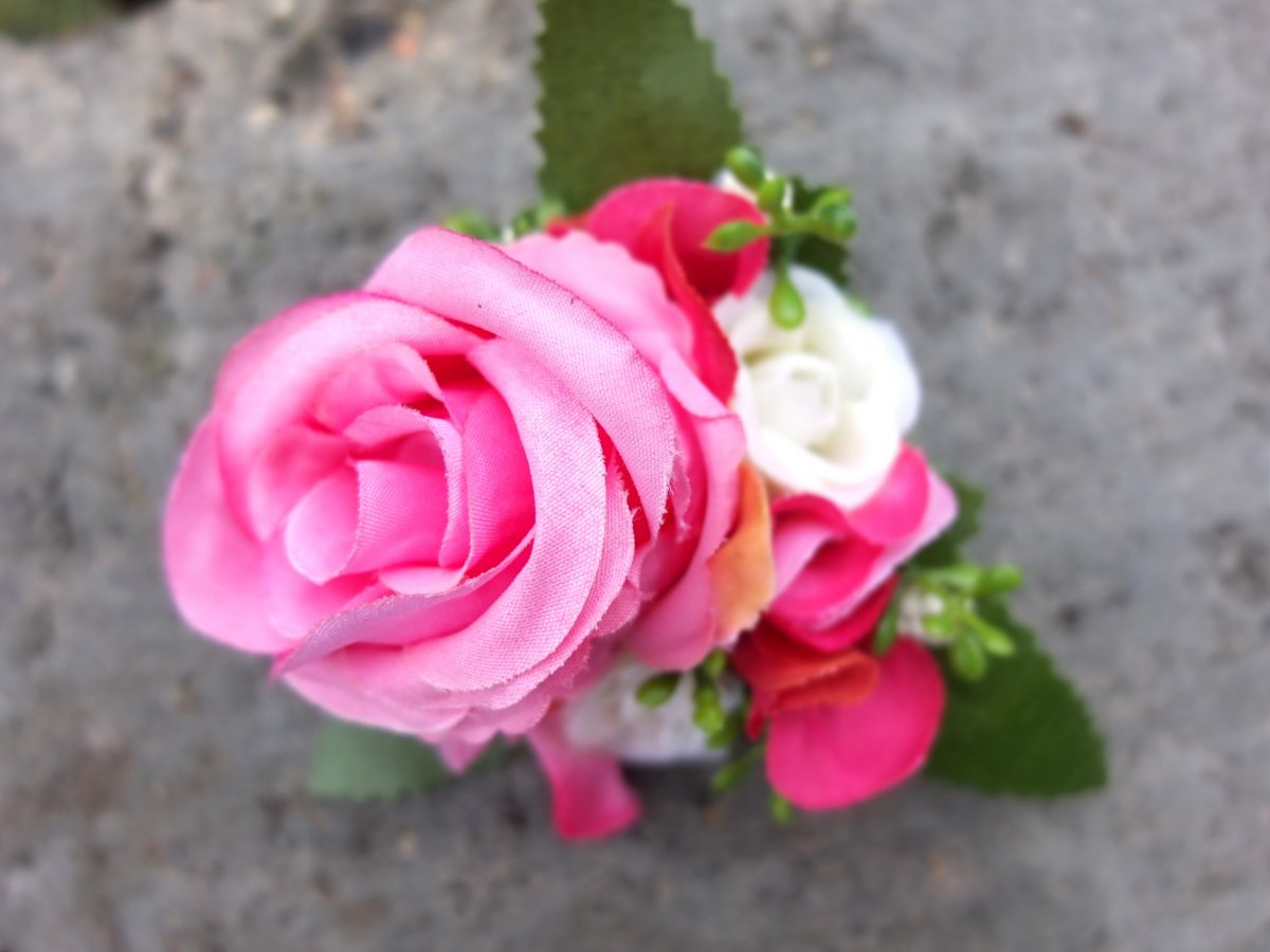 Růže nejrůžovější