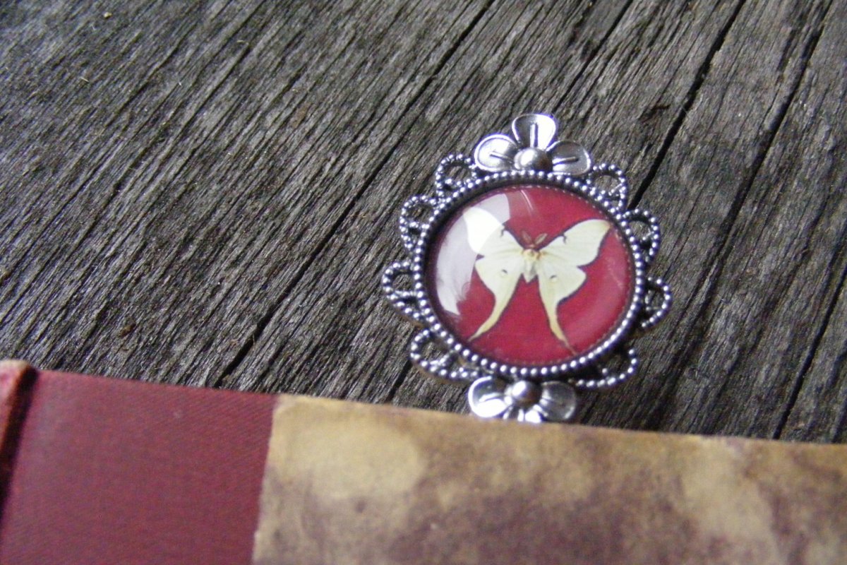 Záložka zasouvací -bělásek