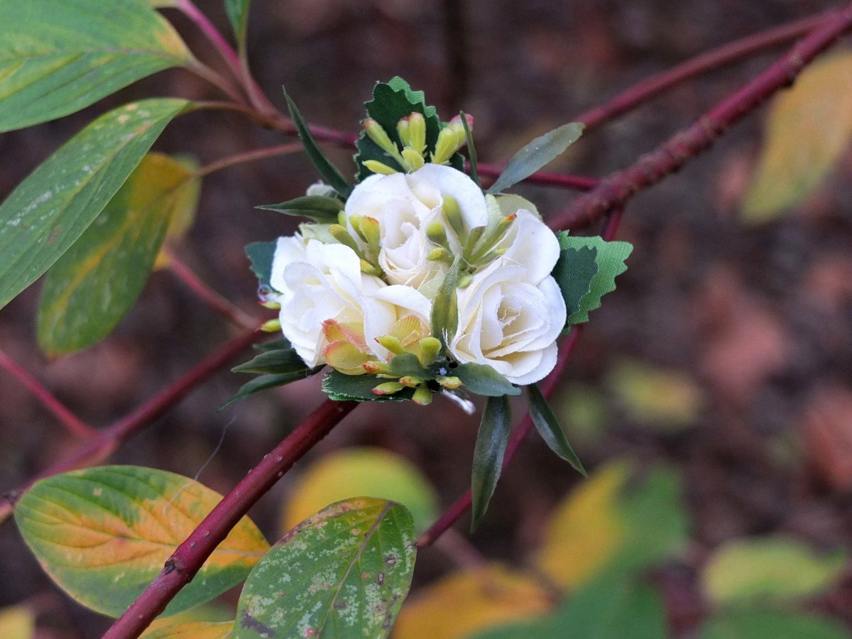 sponka s bílými růžičkami