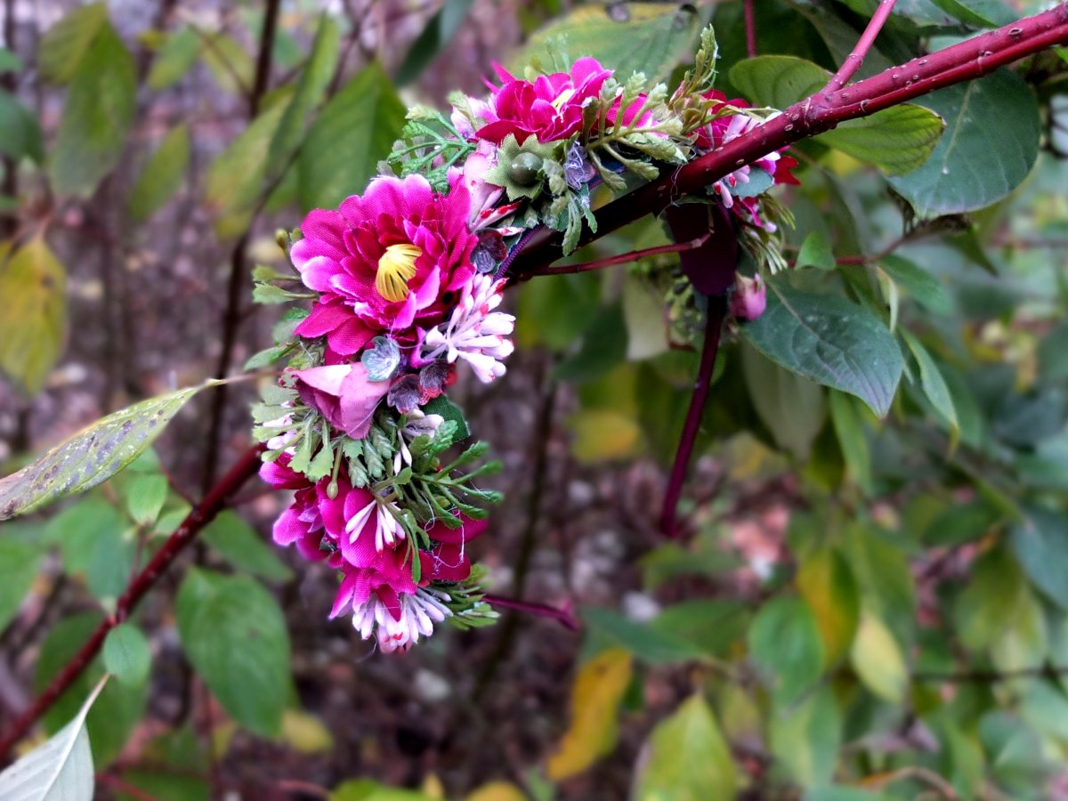 vínovo - růžová květinová čelenka