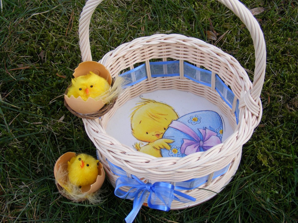 Košíček na 10 vajíček - kuřátko