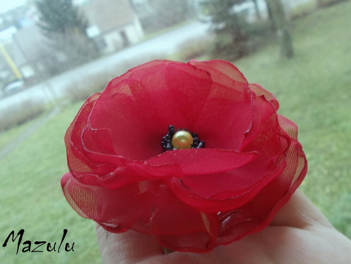 červený vlčí mák