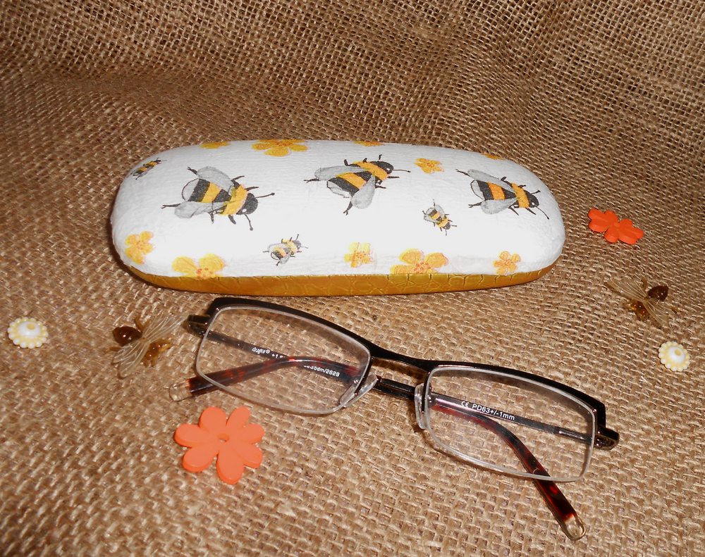 Pouzdro na brýle - včelka
