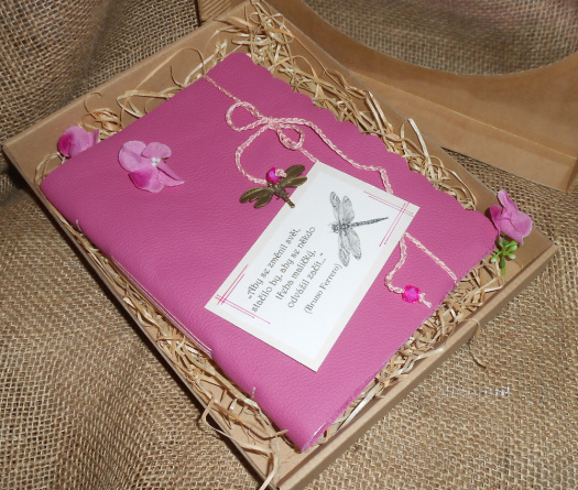  Na křídlech vážky - deník v dárkové krabičce