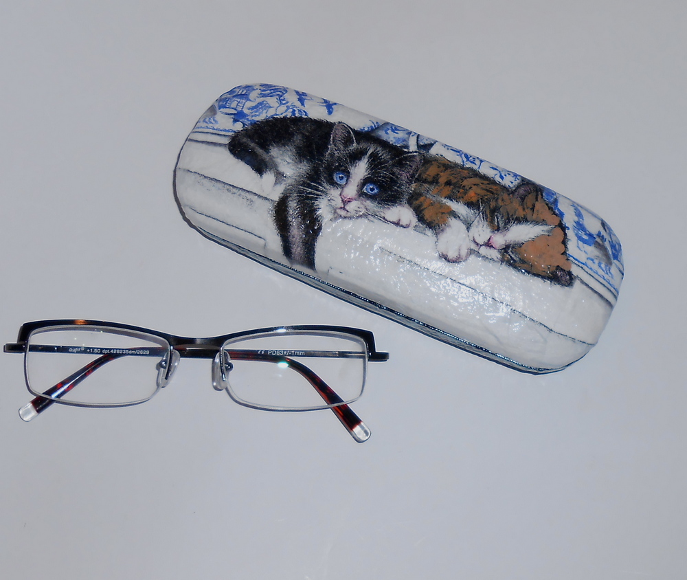 Pouzdro na brýle - kočičky