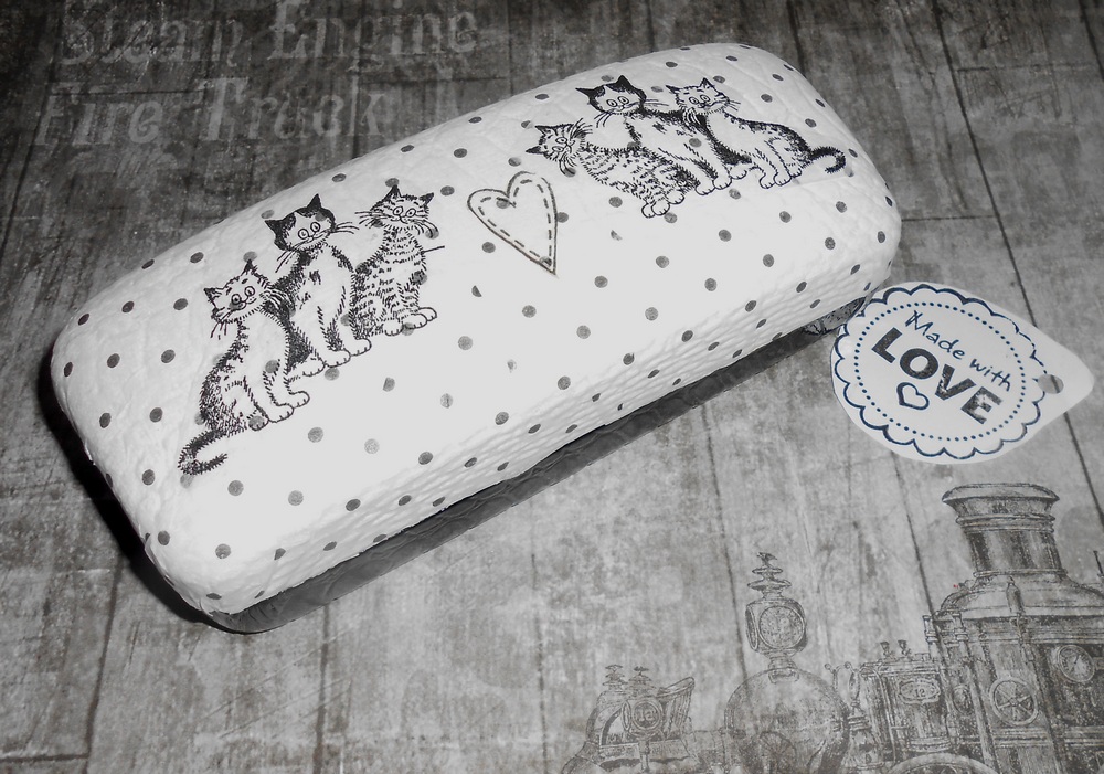 Pouzdro na brýle kočičky