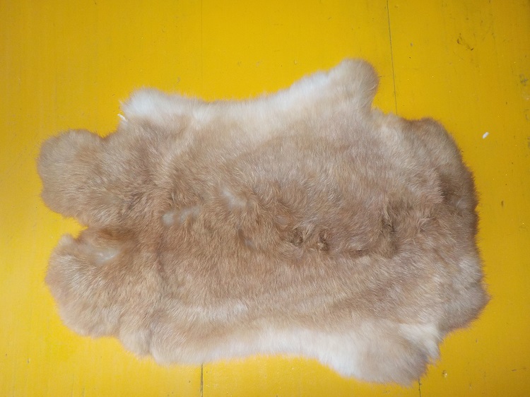 Králičí kožešina 1.