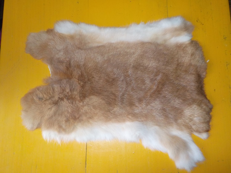 Králičí kožešina 5.