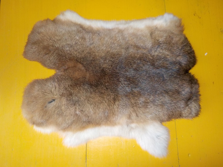 Králičí kožešina 22.