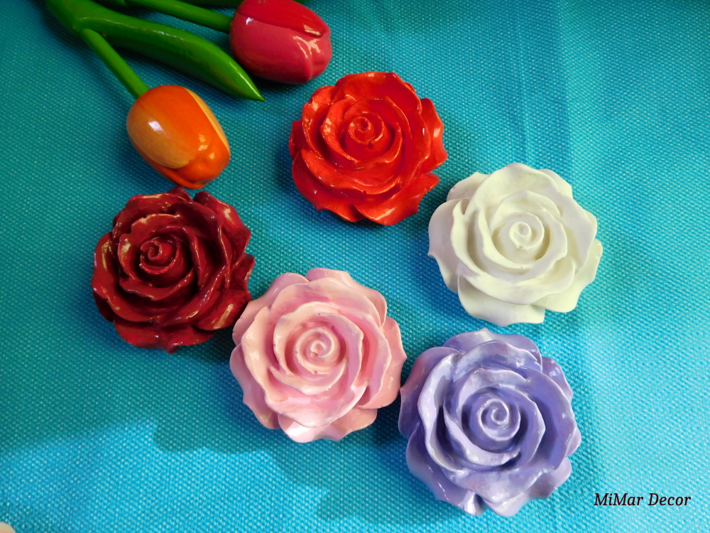 Barevná růžička vhodné na doma i na zahradu - 5 kusů