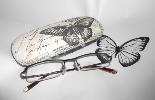 Pouzdro na brýle - černý motýl